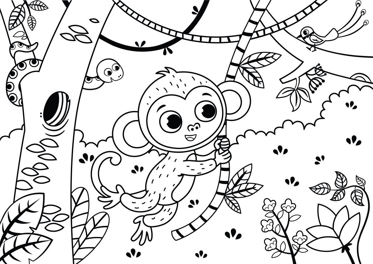 Aventuras de Macaquinho na Floresta