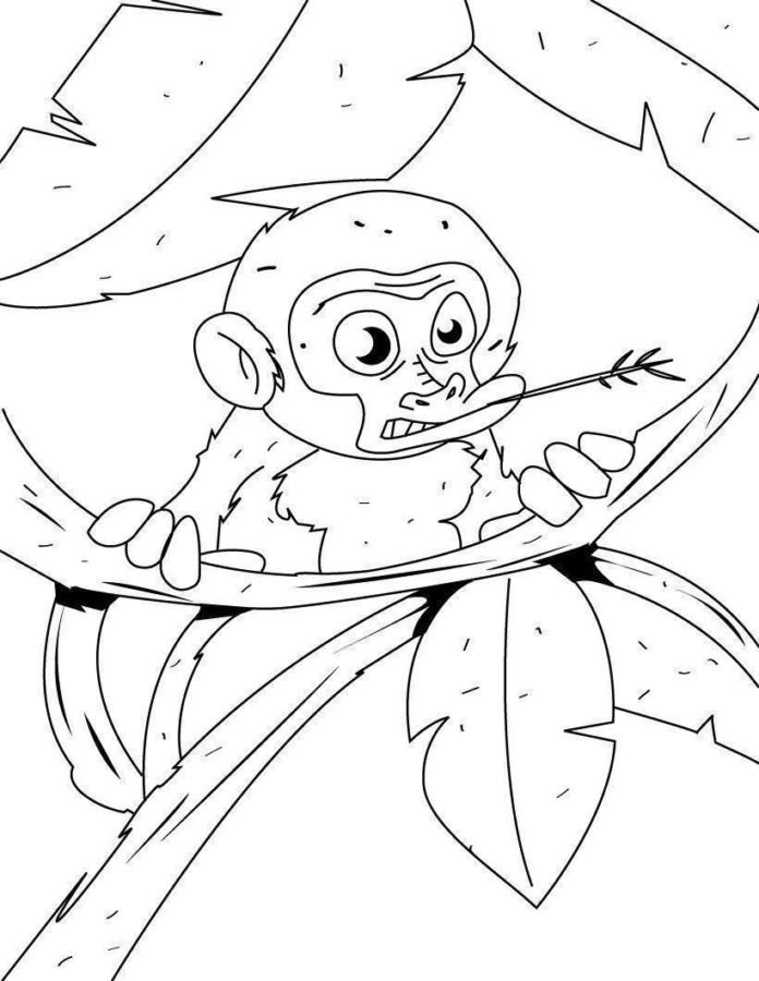 Aventuras do Pequeno Macaco na Selva