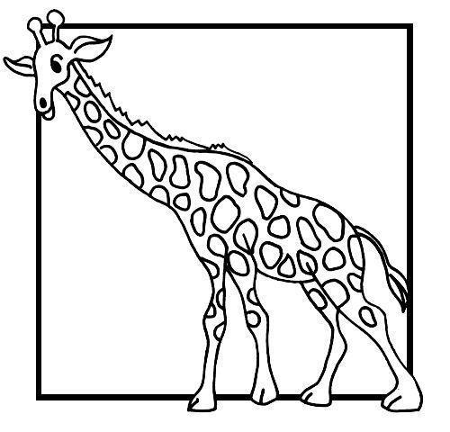 Aventure-se com a Girafa Artista