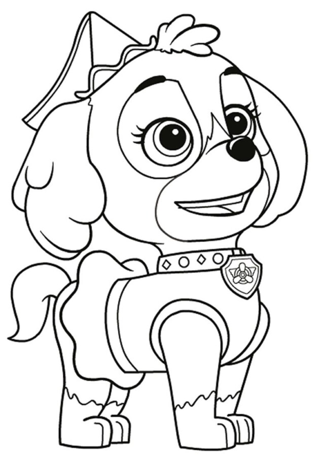 Aventure-se com Skye da Patrulha Canina