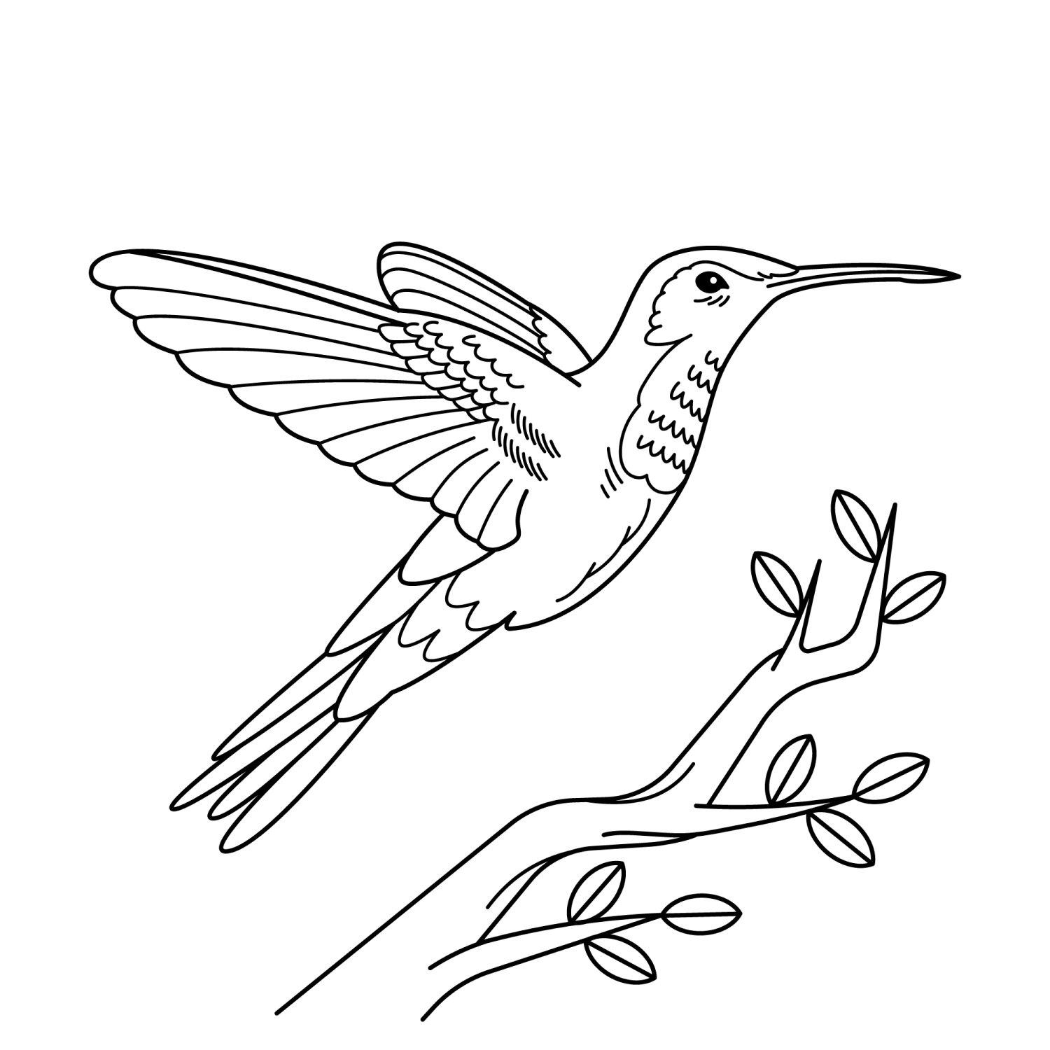 Beleza do Beija-Flor: Arte para Colorir