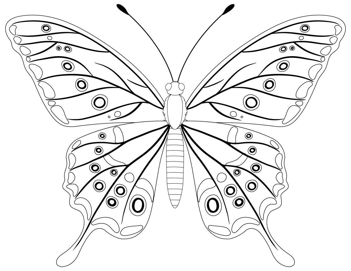 Belíssima Borboleta para Colorir