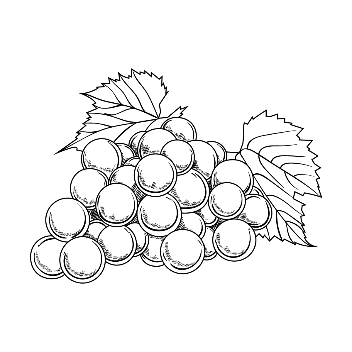 Cacho de Uvas para Colorir