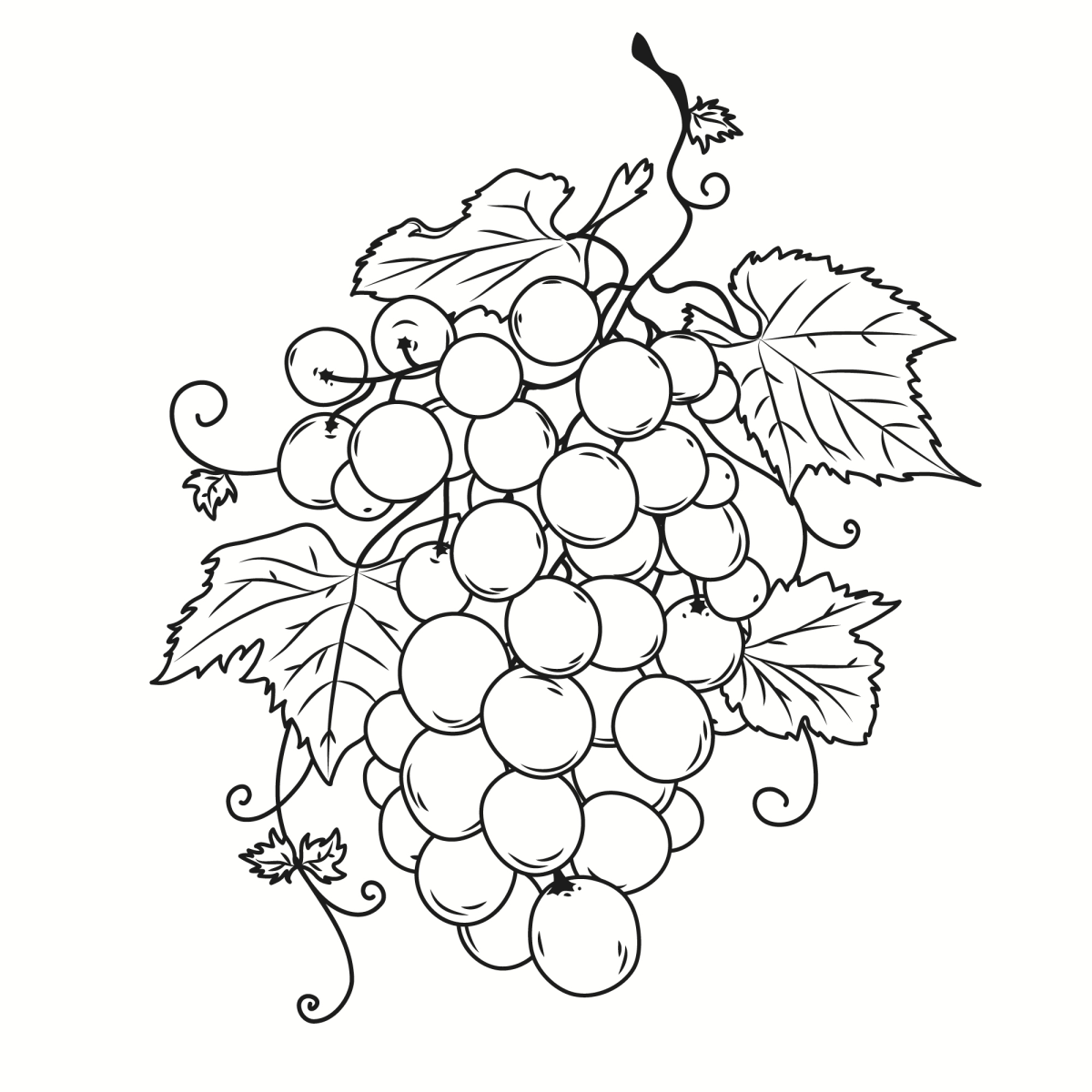 Cacho de Uvas: Uma Obra para Colorir