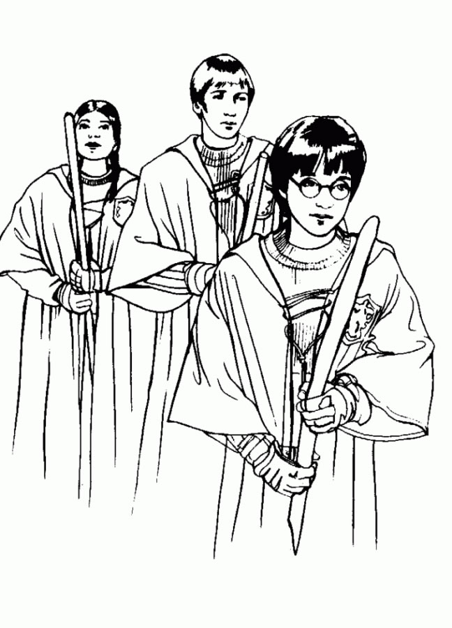 Os Campeões de Quadribol de Hogwarts