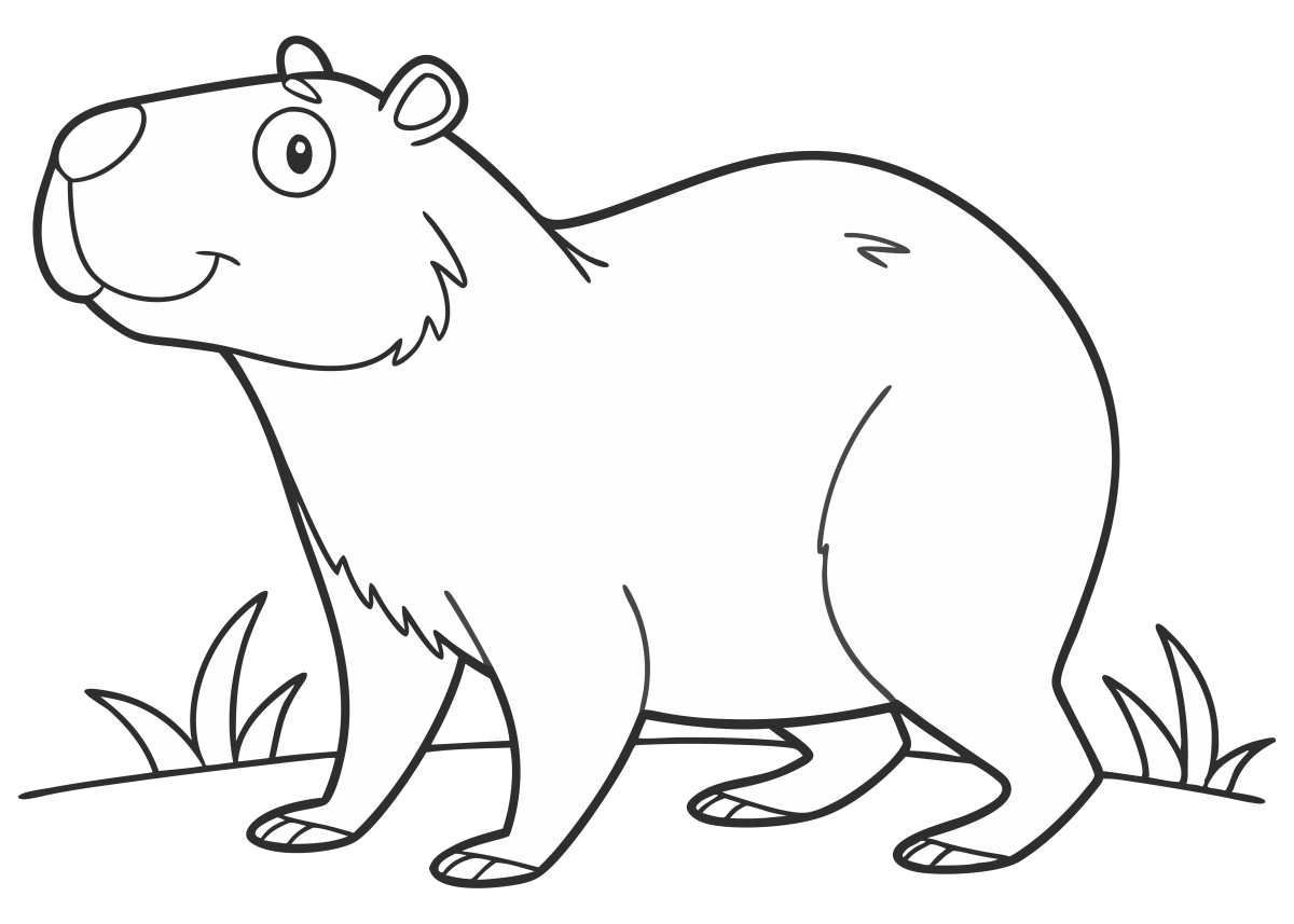 Capivara Alegre no Campo