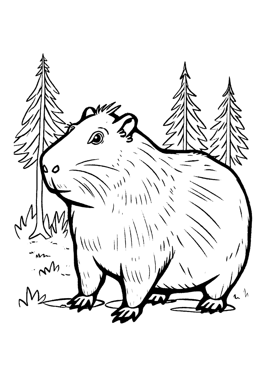Capivara Aventura na Floresta