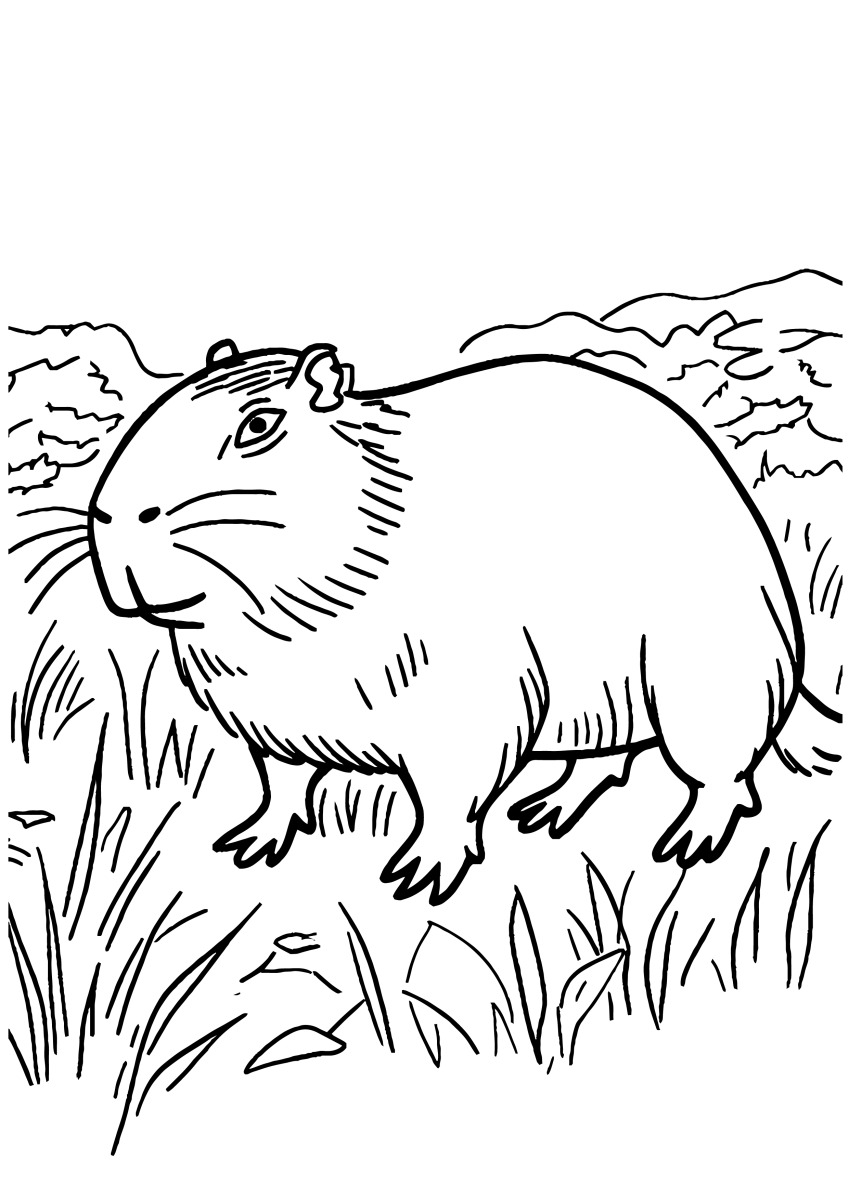 Capivara Aventurando-se na Natureza