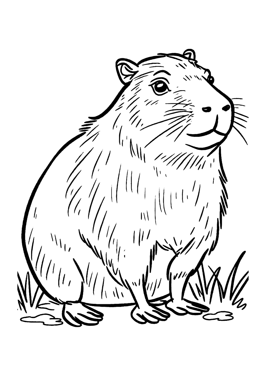 Charm of the Capybara