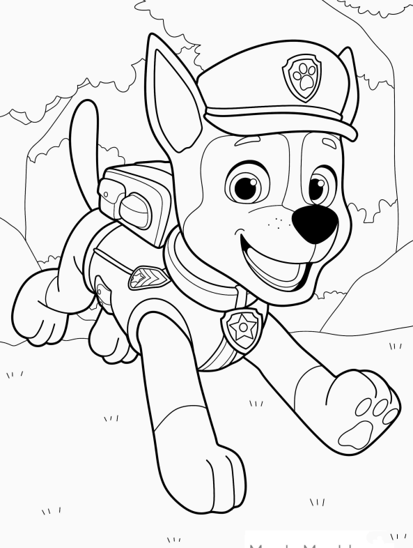 Chase da Patrulha Canina em Ação