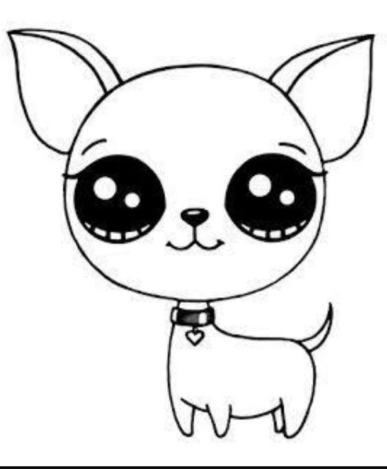 Aventureiro Kawaii: O Chihuahua Encantador