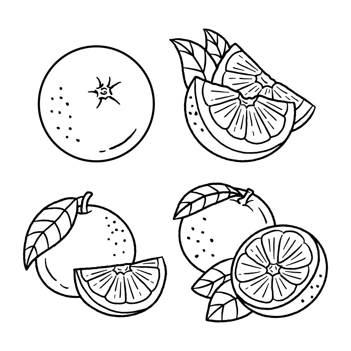 Cítricos Encantadores para Colorir