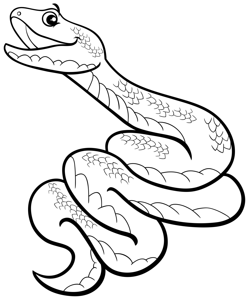 Uma Cobra Encantadora