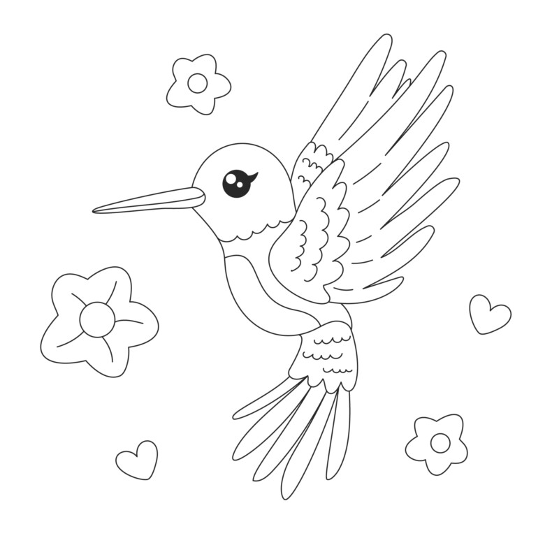 Colibri Encantador para Colorir