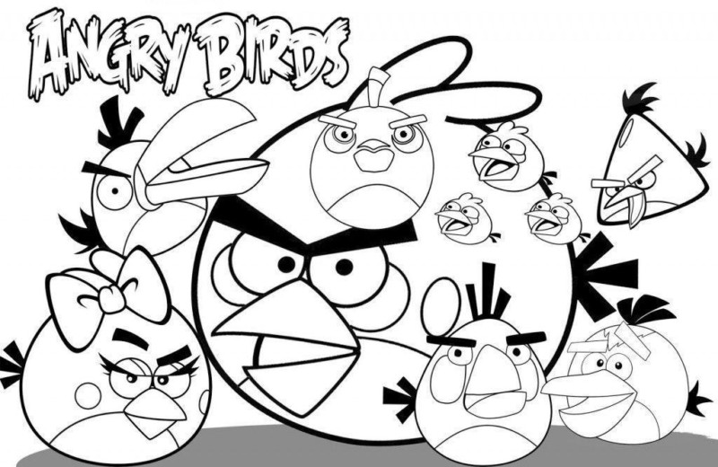 Colorindo a Fúria dos Angry Birds