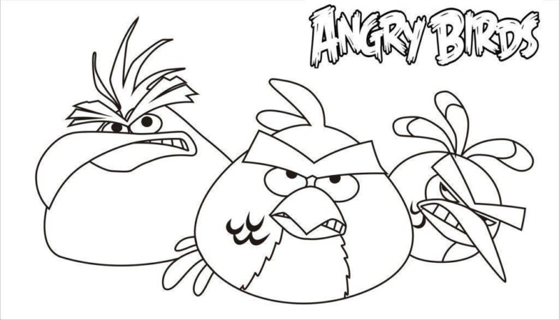 Colorindo a Fúria dos Angry Birds
