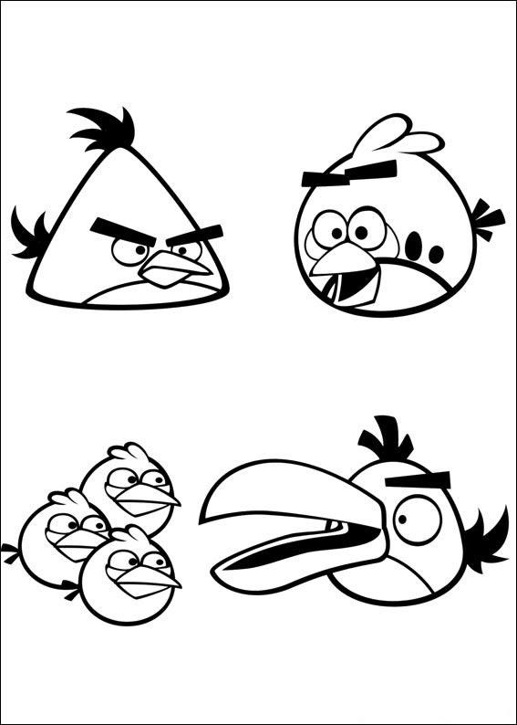 Colorindo Aventura: Os Irados Angry Birds