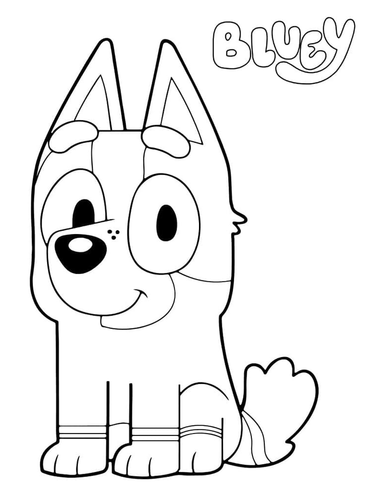Colorindo Aventuras com Bluey