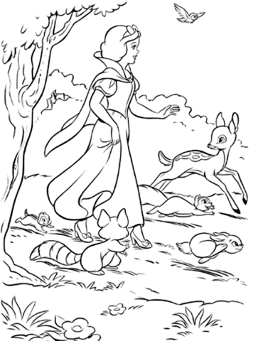 Colorindo a Magia de Branca de Neve na Floresta