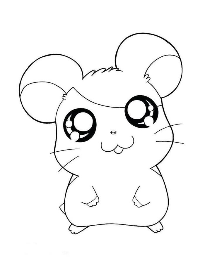 Colorindo a Doçura de um Hamster Kawaii