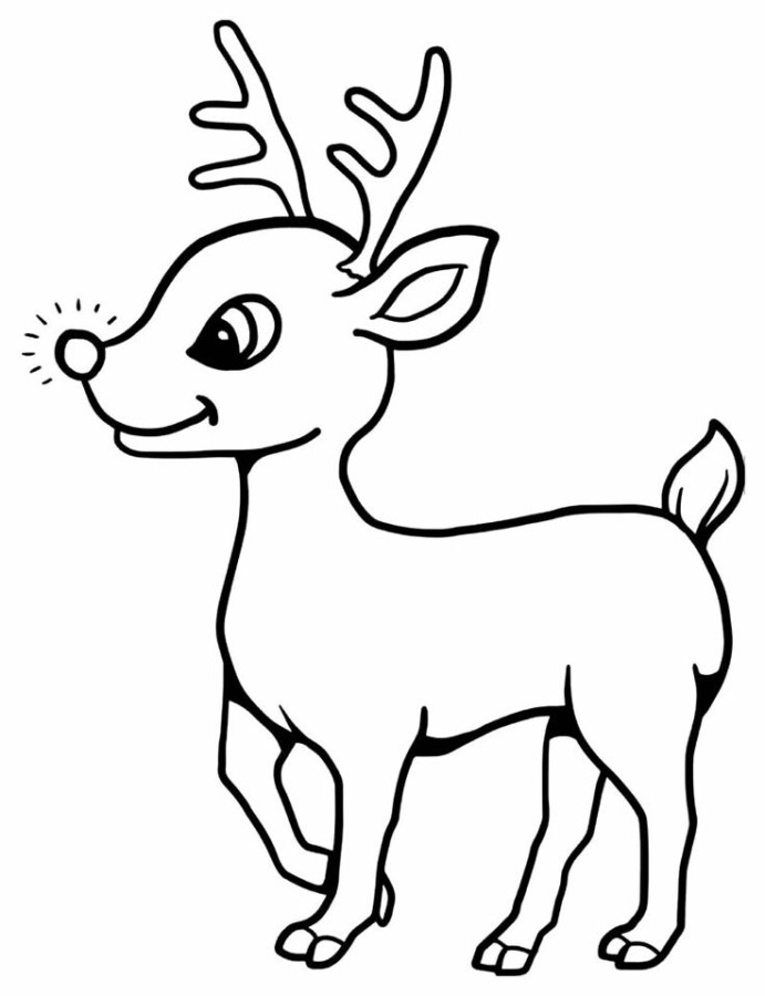 Colorindo o Nariz Iluminado de Rudolph