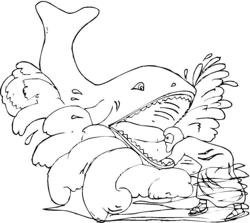 Colorindo o Mundo de Pokemon com Wailord