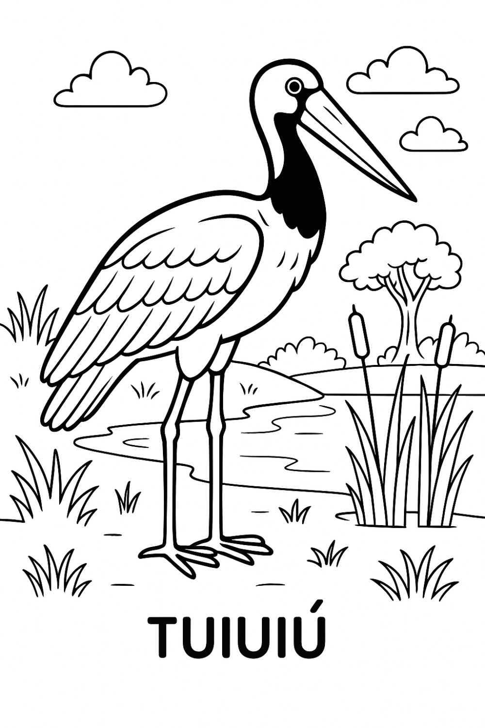 Colorindo o Tuiuiú