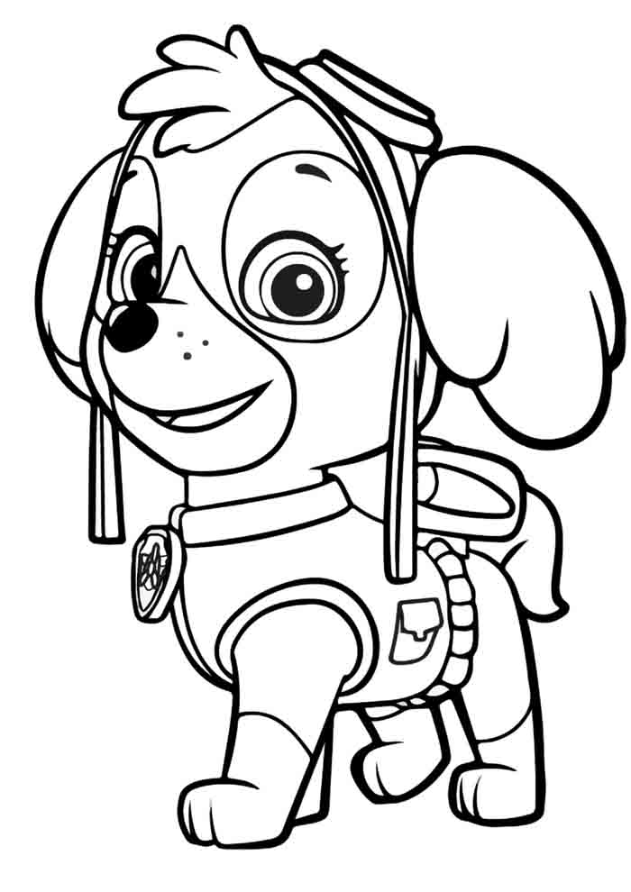 Colorindo o Voo de Aventuras da Skye