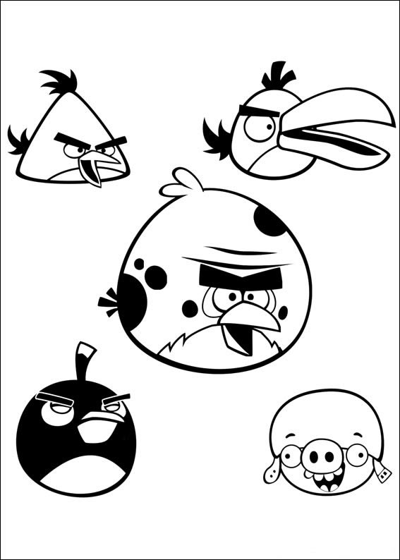 Colorindo os Famosos Angry Birds
