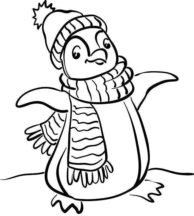 Colorindo Pinguins Aventureiros