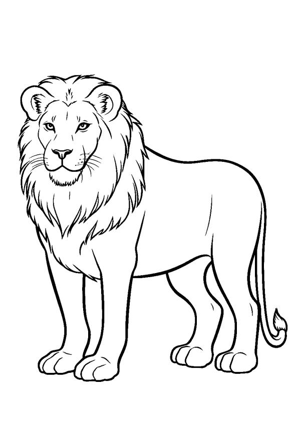 Colorindo o Rei da Savana