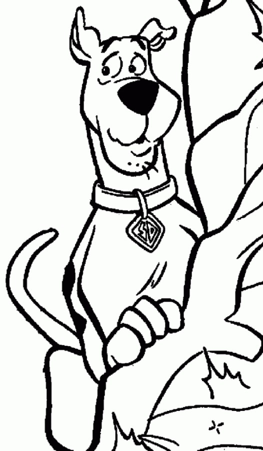 Colorindo Scooby-Doo e Suas Aventuras
