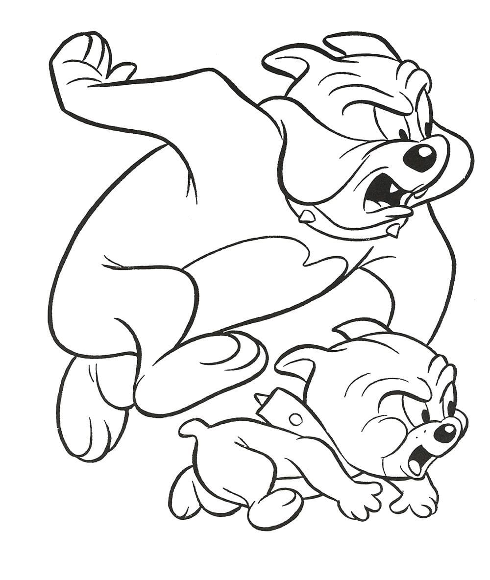 Corrida Animada com Spike e Tyke