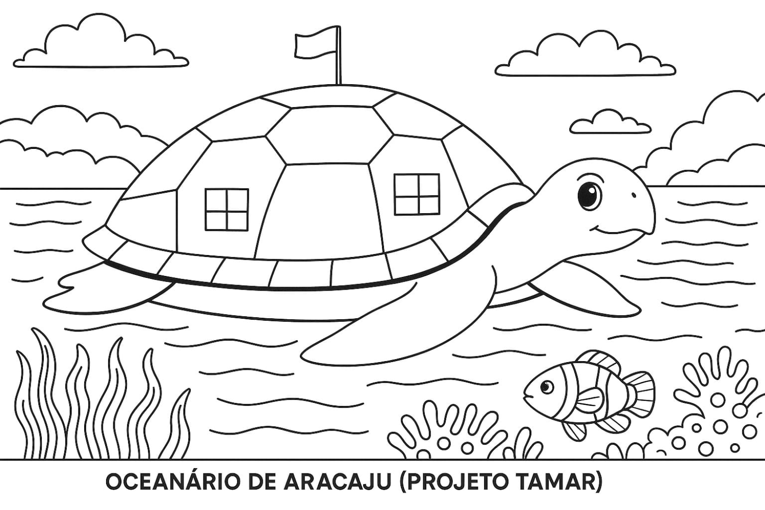 Desbravando o Oceano com a Tartaruga