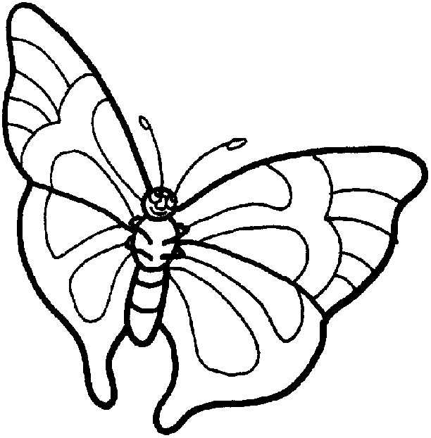 Desenho de Borboleta para Colorir