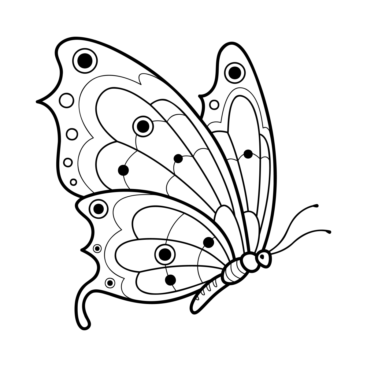 Desenho Detalhado de Borboleta