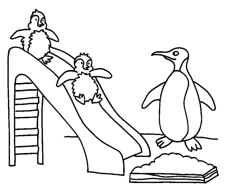Deslizando com os Pinguins