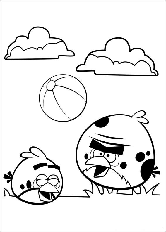 Dia Divertido com os Angry Birds