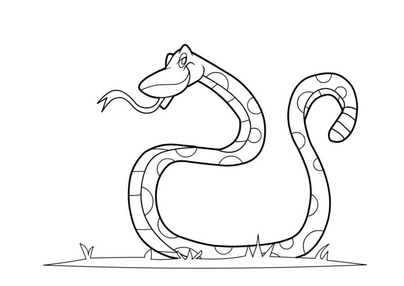 Divertida Cobra Para Colorir