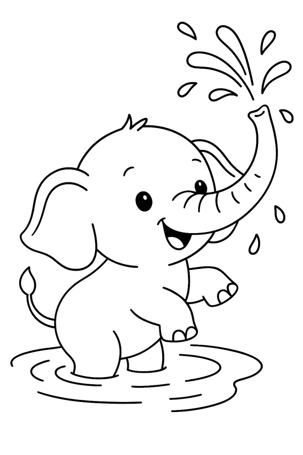 Divertido Elefante na Pataquinha