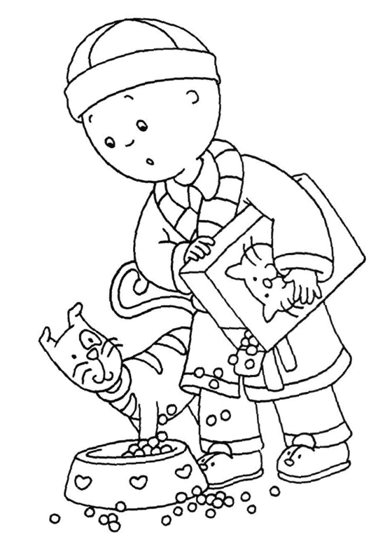Divertimento com Caillou e Seu Gato