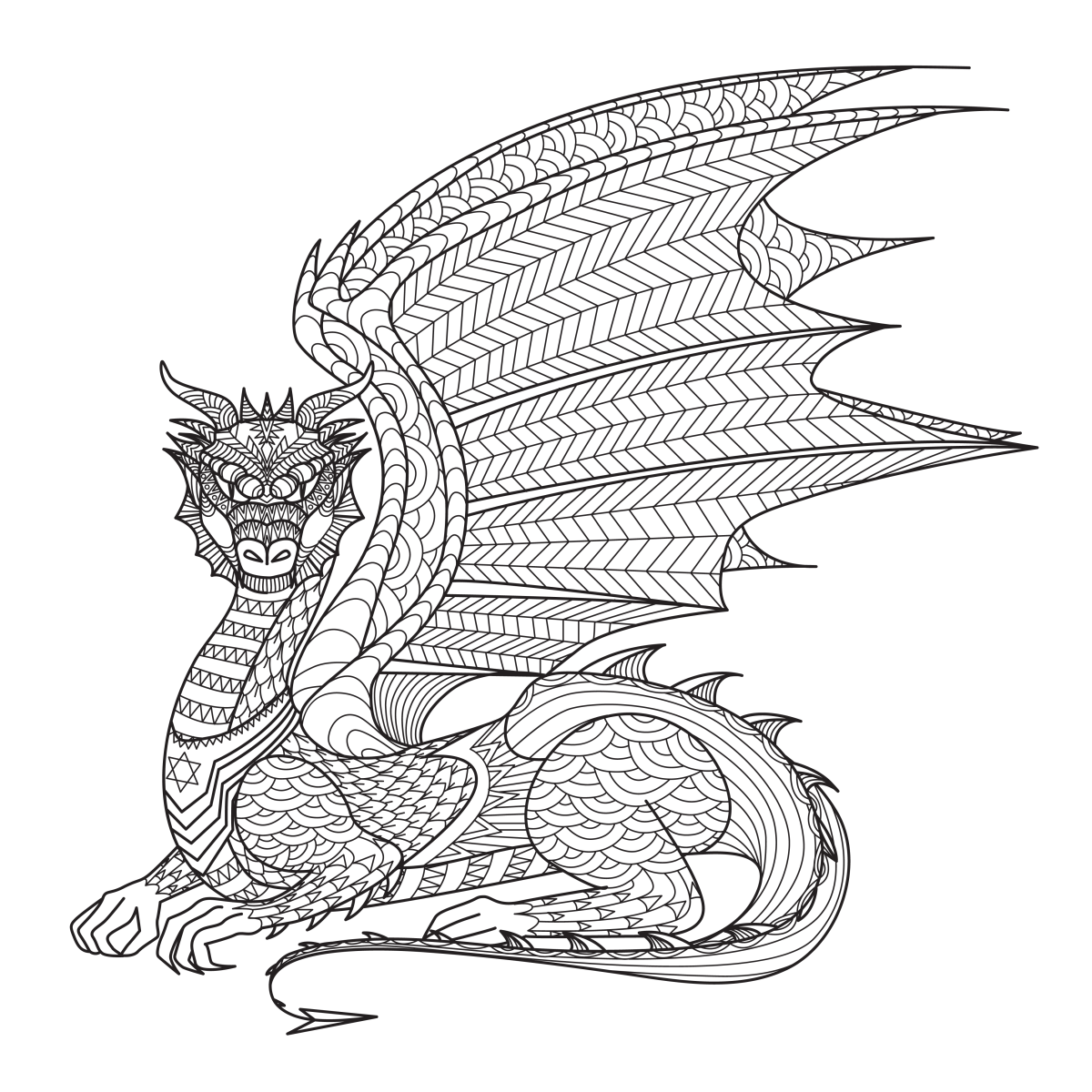 O Dragão dos Detalhes Encantados
