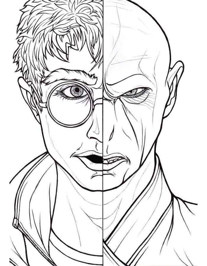 Duel of Destinies: Harry vs. Voldemort