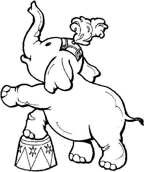 Explorando a Cena Adorável do Elefante Artista