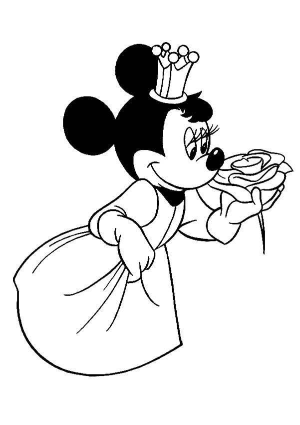 Encanto Real com Minnie