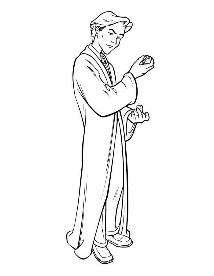 O Encanto de Tom Riddle
