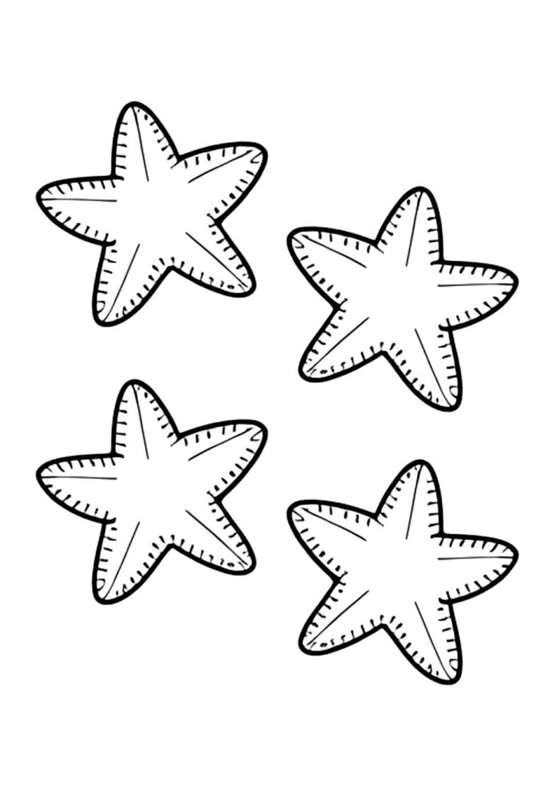 Estrelas do Mar Imaginativas