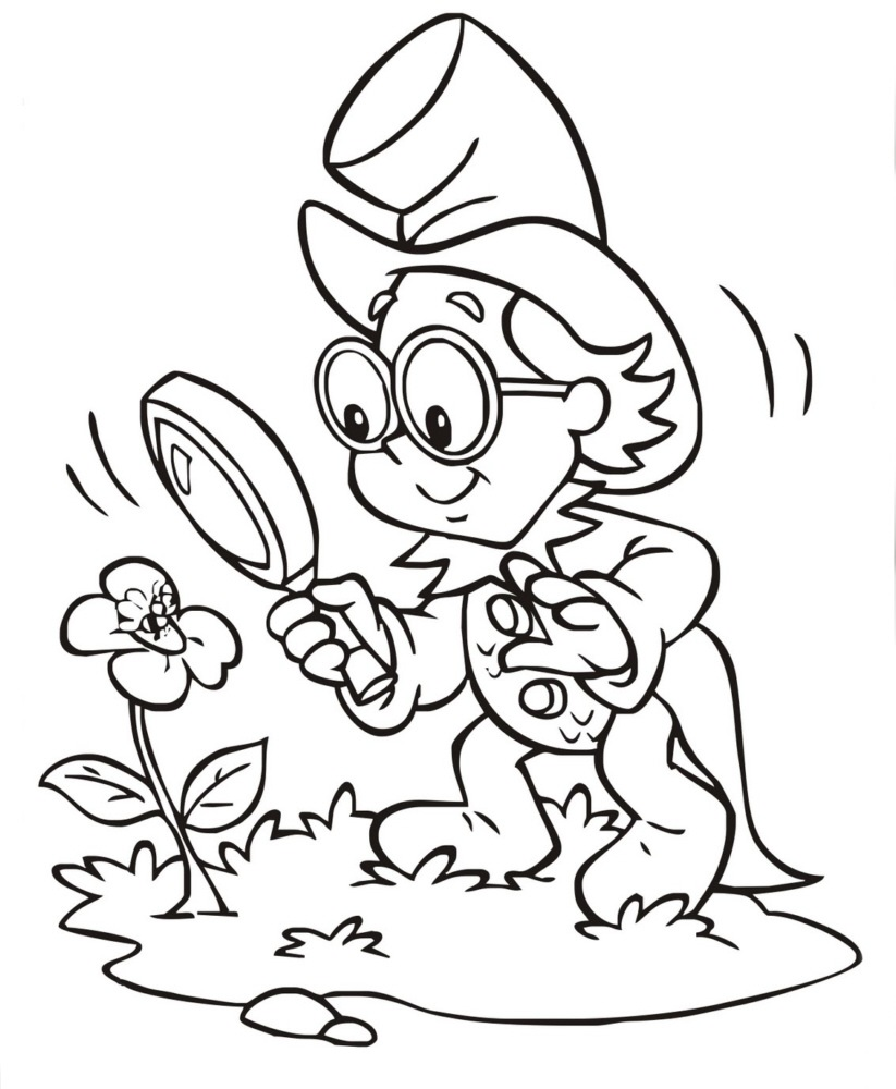 Exploração Curiosa