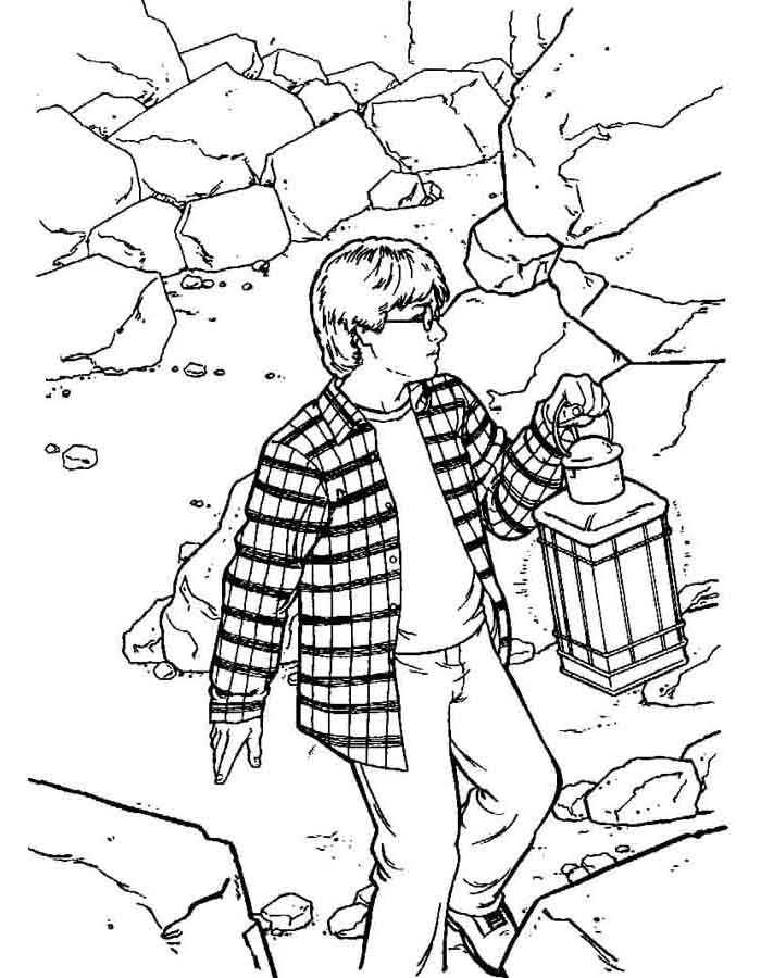 Exploração com Harry no Mundo Mágico