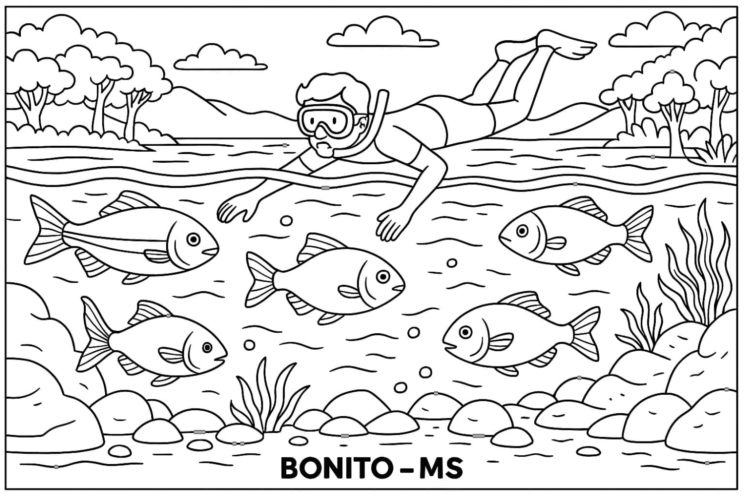 Exploração Subaquática em Bonito